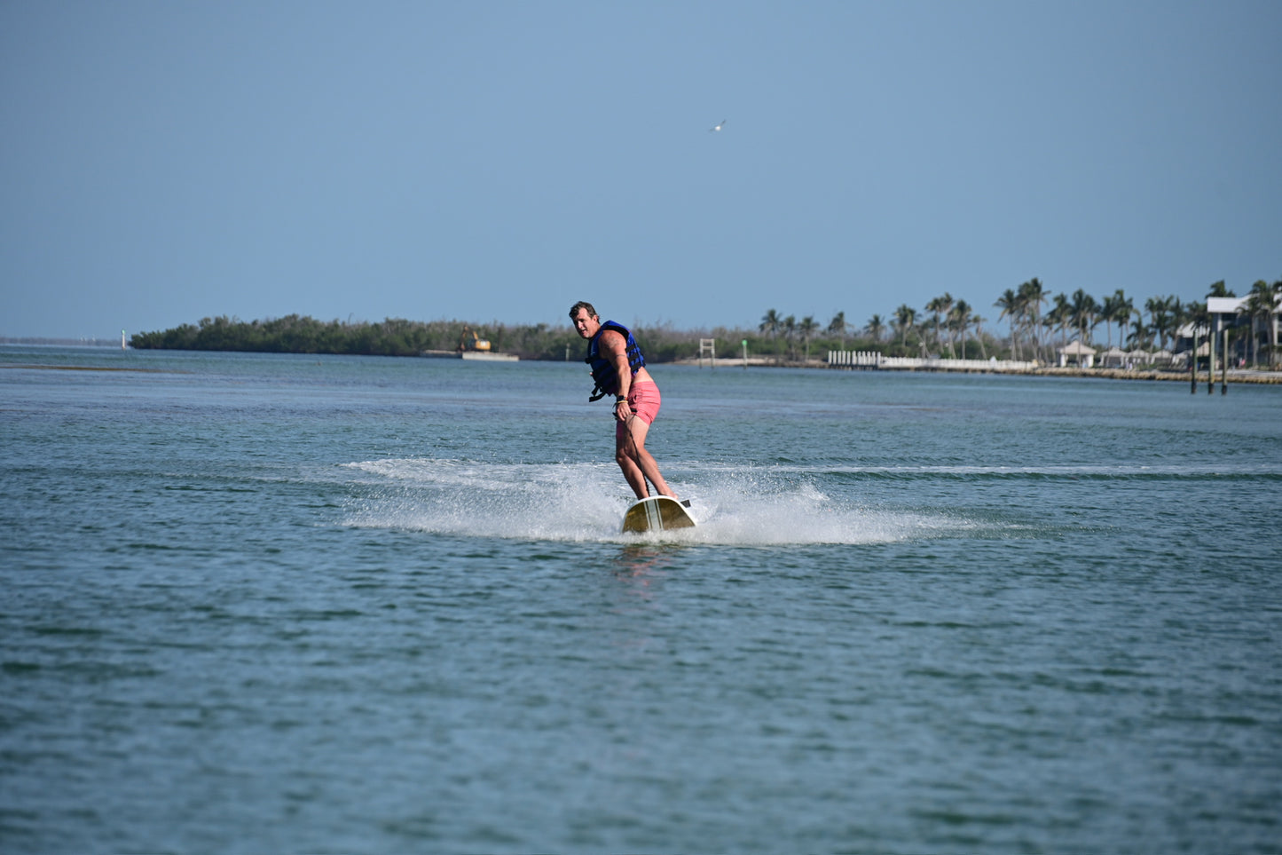 MAKE YOUR OWN WAVE: Electric Surf Board